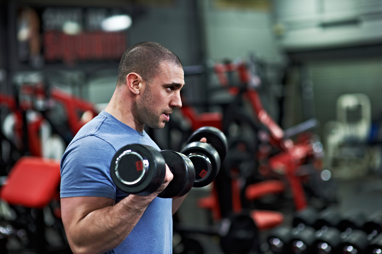 How to properly do the dumbbell biceps curl