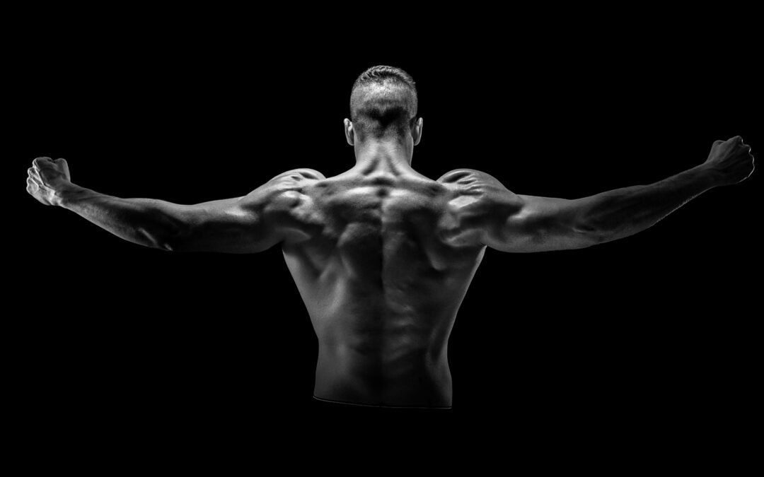 Khan Porter: 3 moves to build a killer back