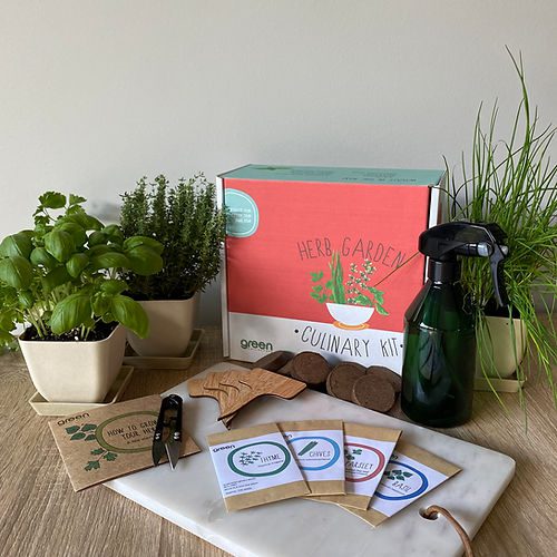 Green Collective Culinary Herb Garden Kit